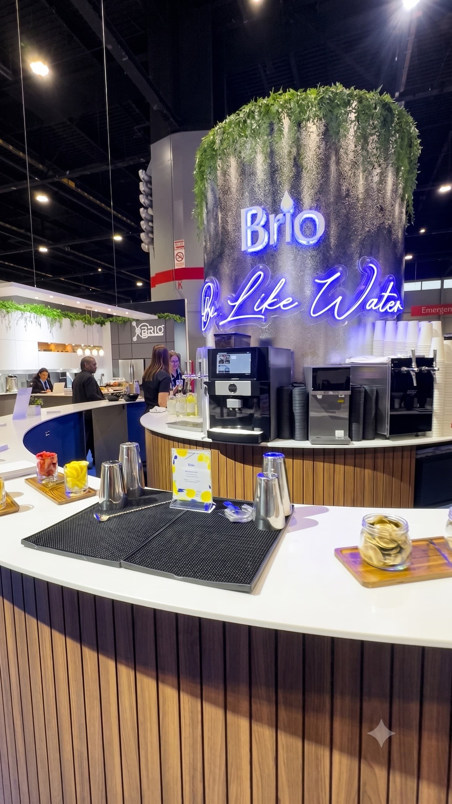 Brio Water